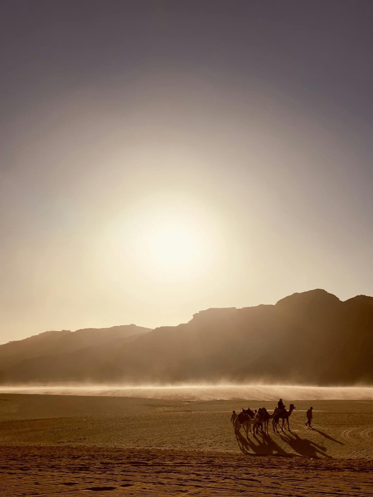Camel caravan crossing the vast Wadi Rum desert under a stunning sunset in Jordan.